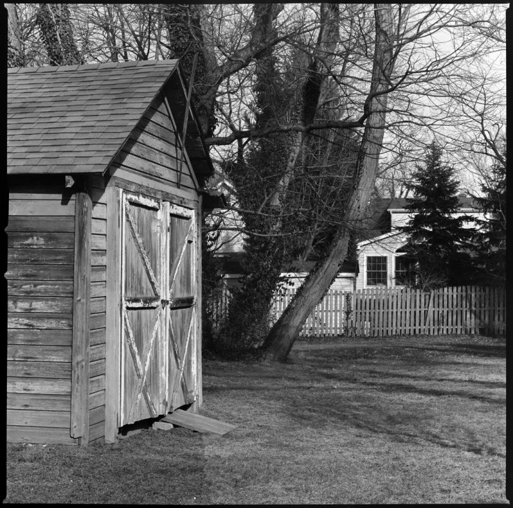 30497366498_0b236a6dea_b