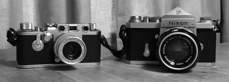 46864414921_3dea82985d_b