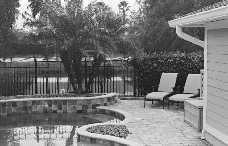 48024512837_cf5cfa2933_b