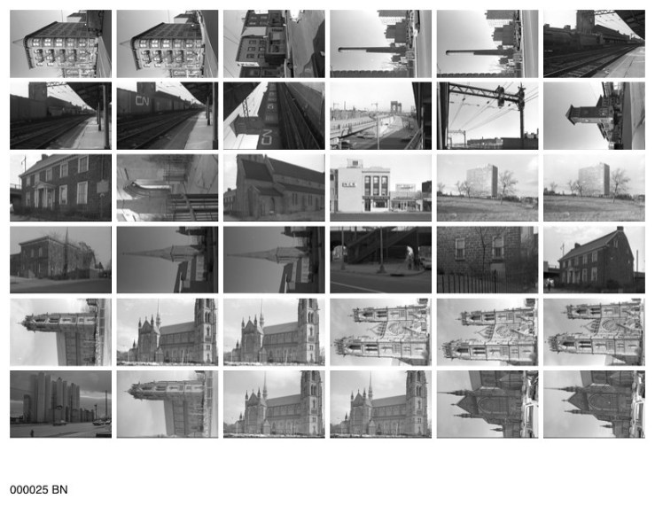 48732620462_733e0e6a76_b