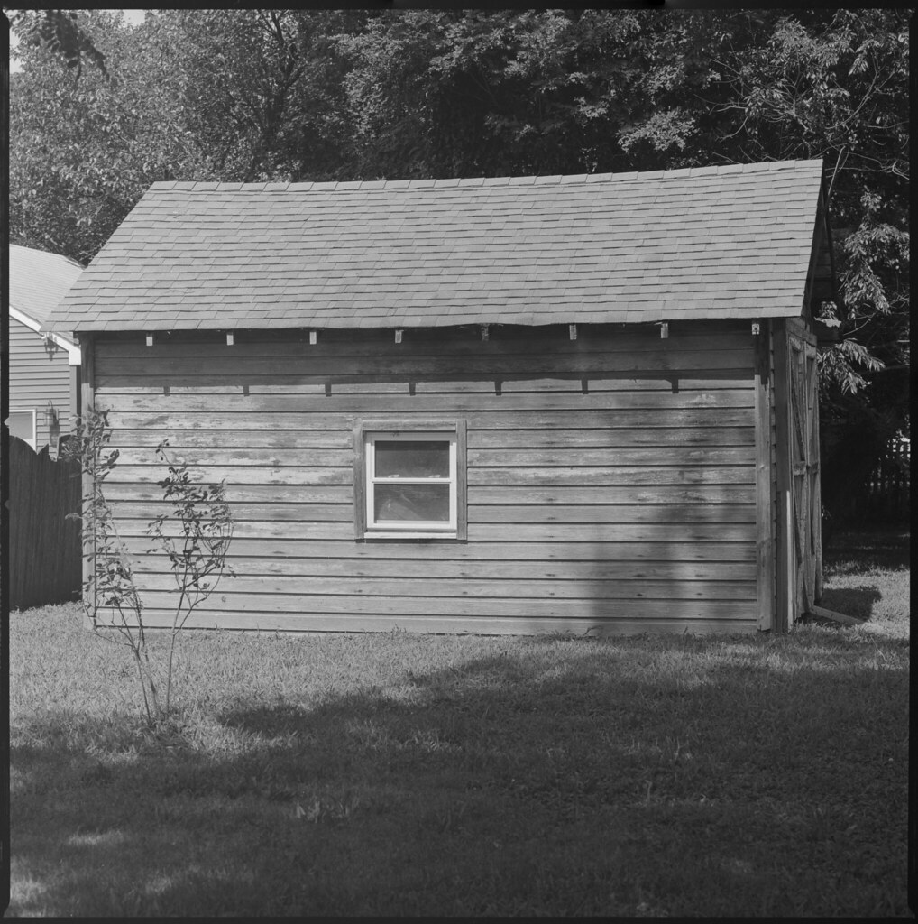 51554593924_ecec08aee3_b