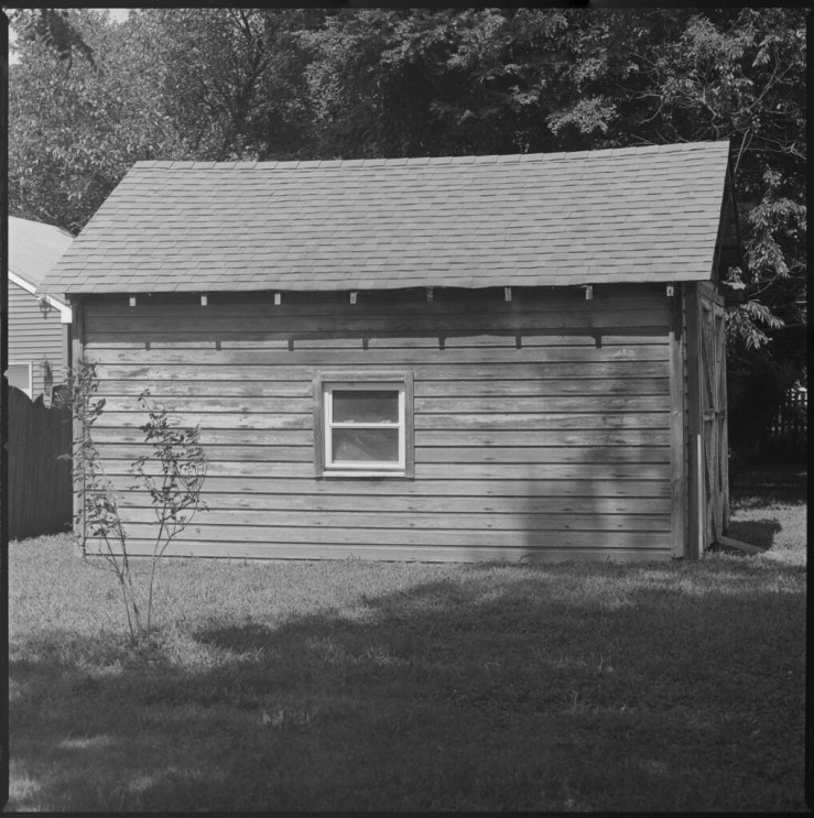 51554593924_ecec08aee3_b