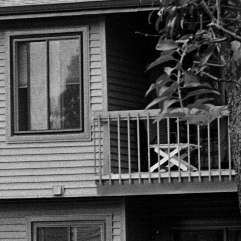 51642413888_8ae6cf8574_b