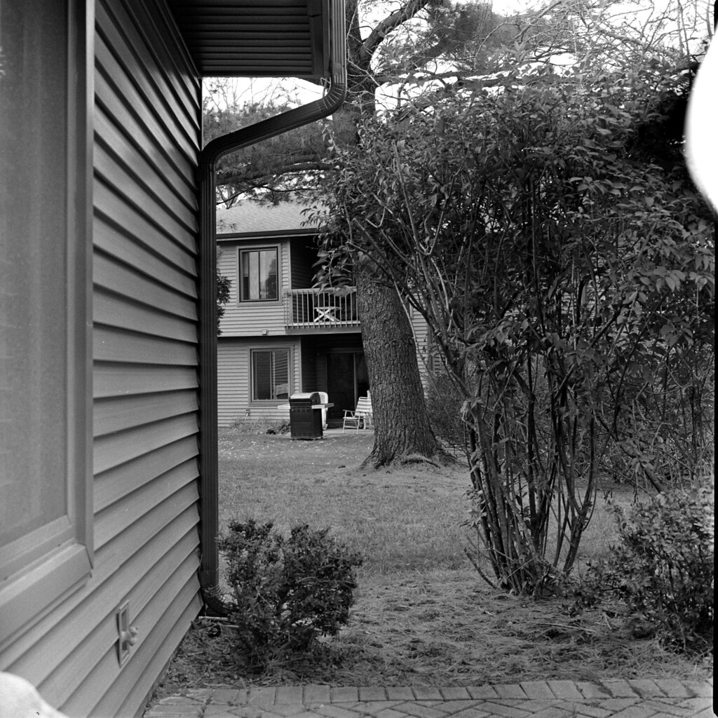 51643046085_1b9c5e4754_b-1