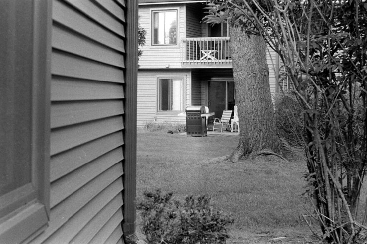 51691538605_a0f00399f9_b