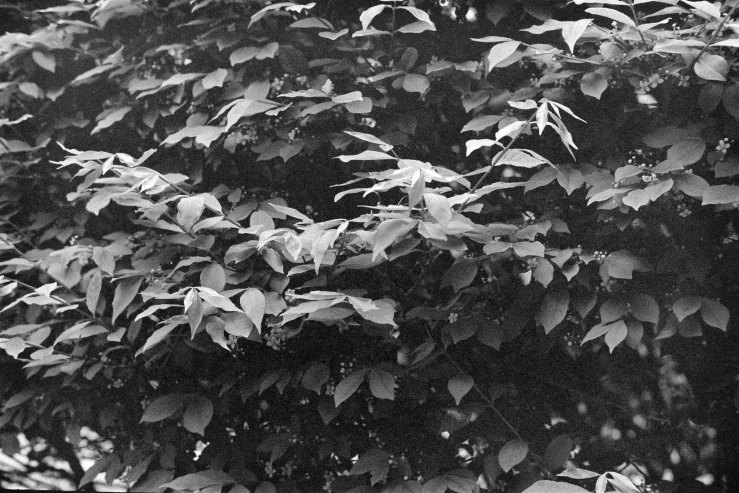 52881022183_41c58427e0_k